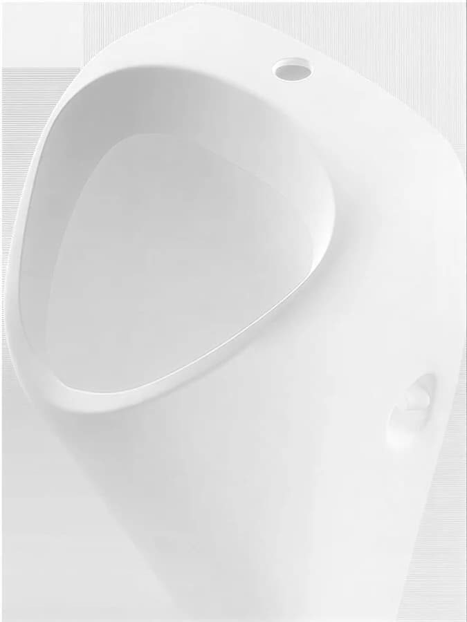 Писсуар Sanita Luxe Long подвесной белый, PS/Long/Mech/WHT.G/S1