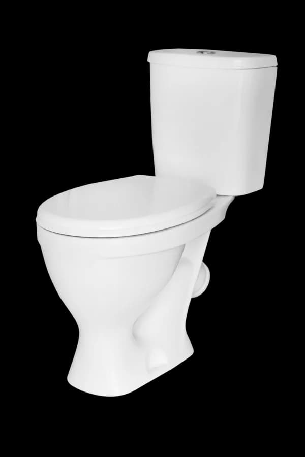 Напольный унитаз Sanita Формат Люкс WC.CC/Format/2-DM/WHT.G/S1 (FRTSACC01020713) крышка стандарт