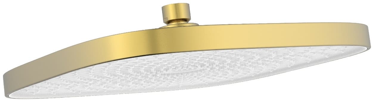 BRAVAT верхний душ D1250RBG-ENG, пластик
